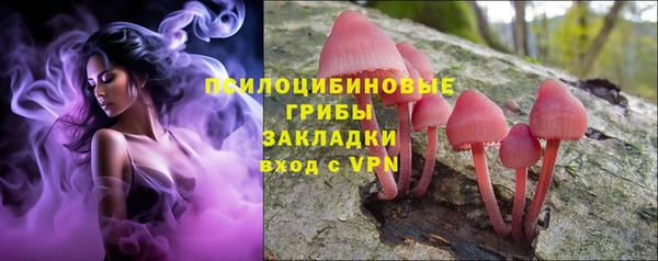 МДМА Новозыбков