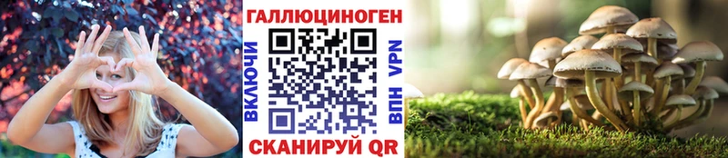 закладка Наволоки Псилоцибиновые грибы Cubensis